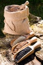 Black chickpeas seeds, quinoa and flax seeds in a wooden spoon. In the background jute bag with seeds.