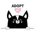 Black chihuahua dog face head. Hands paw holding line. Adopt me. Help homeless animal Pet adoption. Pink heart. Cute cartoon puppy