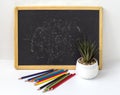 Black children`s Board with pencils and a flower on a white background with a copy of the space Royalty Free Stock Photo