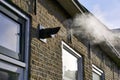 Black chimney on a wall of a house with smoke Royalty Free Stock Photo