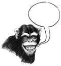 Chimp speaks