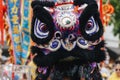 Black Chinese Lion Dance