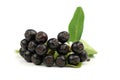 Black Chockeberries Royalty Free Stock Photo