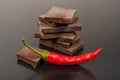 Black chocolate with red hot pepper Royalty Free Stock Photo