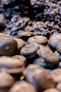 Black chocolate sweets with nuts. Royalty Free Stock Photo