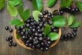 Black chokeberry Aronia melanocarpa in wicker basket