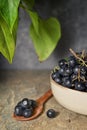 Black Chokeberry Berries Aronia Melanocarpa