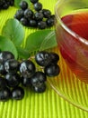 Black chokeberry tea Royalty Free Stock Photo