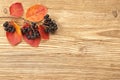 Black chokeberry on Wooden Background