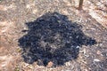 Black cinders on ground