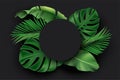 Black circle blank card with green exotic jungle leaves on dark background. Monstera, philodendron, fan palm, banana