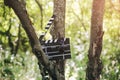 Black clapperboard with glasses hanging on the tree in park . Directing and filming of some amateur cinema movie