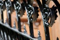 Black Classic scrolled iron fence