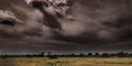 Black Clouds Trees Road Grass