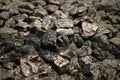 Black coal fossil fuel background Royalty Free Stock Photo