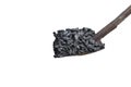 Black coal on a shovel on a white isolated background. Energy crisis. copy space