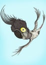 black cockatoo sketch Royalty Free Stock Photo