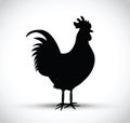 Black cockerel silhouette