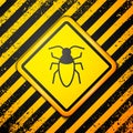 Black Cockroach icon isolated on yellow background. Warning sign. Vector Royalty Free Stock Photo