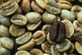 Black Coffee bean with selective focus Royalty Free Stock Photo