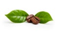 Black coffee beans, grain with leaf Royalty Free Stock Photo