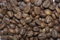 Black Coffee beans robusta for the coffee shop background Royalty Free Stock Photo