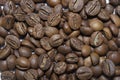 Black Coffee beans robusta for the coffee shop background Royalty Free Stock Photo