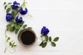Black coffee with Blue flower butterfly pea local flora of asia