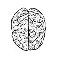 Black color Brain engraving style. Vector illustration realistic sign.