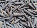 Black color Long pepper Royalty Free Stock Photo