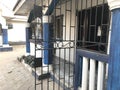 Black color painted reinforcement steel fabricated for front lobby protection or entrance