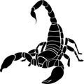 Black color scorpion silhouette without background