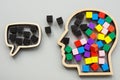 Black and colored cubes in the head and a negative comment. Royalty Free Stock Photo