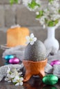 Black colored egg and flowers on clay plate. Happy Easter card. Holidays breakfast concept. Festive table place setting decoration Royalty Free Stock Photo