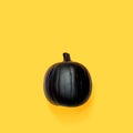 Black colored pumpkin