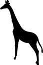 black colored single giraff shape graphic art