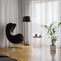 Black armchair in room with white curtains Royalty Free Stock Photo