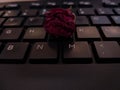 Black computer keyboard close up in low light Royalty Free Stock Photo