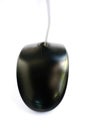 Black computer mouse with cord on white background Royalty Free Stock Photo