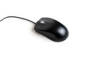 Black computer mouse isolated on white background Royalty Free Stock Photo