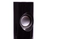 Black computer speakers with the speaker Royalty Free Stock Photo