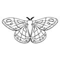 Black contour linear silhouette moth isolated on white background. Vector simple flat graphic illustration imperial