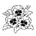 Black contour of pansy flowers. Vector illustration. Royalty Free Stock Photo