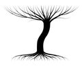 Black contour of a tree with twigs and roots. Leaves and crown no. Logo or emblem.