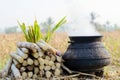 A black cooking pot sits next to a stack of fresh sugar canes, ready for use in a kitchen or outdoor setting Royalty Free Stock Photo