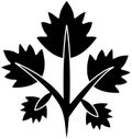 black coriander silhouette or flat leaf illustration of coriandrum logo leaves for food with ingredient icon and plant shape