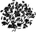 black coriander silhouette or flat leaf illustration of coriandrum logo leaves for food with ingredient icon and plant shape