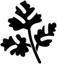 black coriander silhouette or flat leaf illustration of coriandrum logo leaves for food with ingredient icon and plant shape