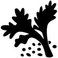 black coriander silhouette or flat leaf illustration of coriandrum logo leaves for food with ingredient icon and plant shape