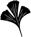 black coriander silhouette or flat leaf illustration of coriandrum logo leaves for food with ingredient icon and plant shape